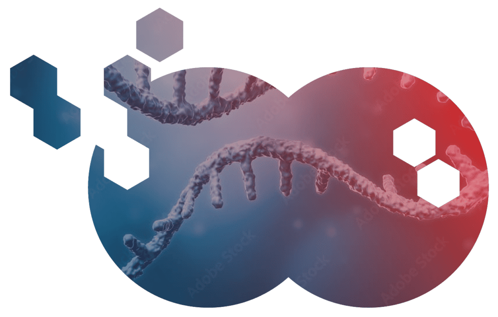 RNA Model CRC 1678