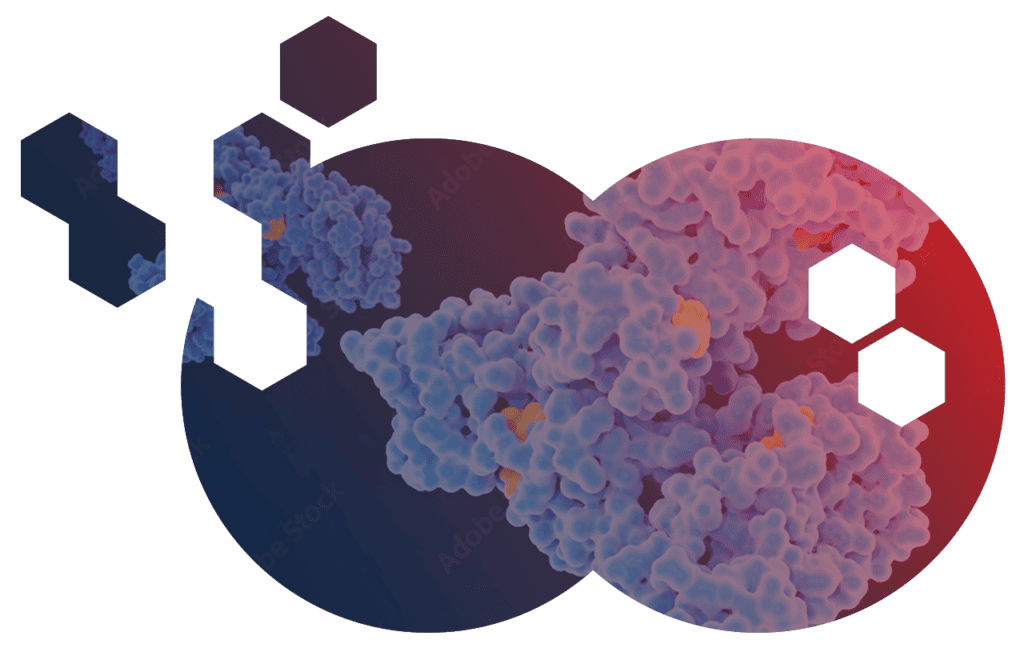 PROTEIN Model